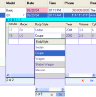 DataGridView Columns .NET 2.0 assembly screenshot